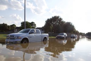 flood insurance