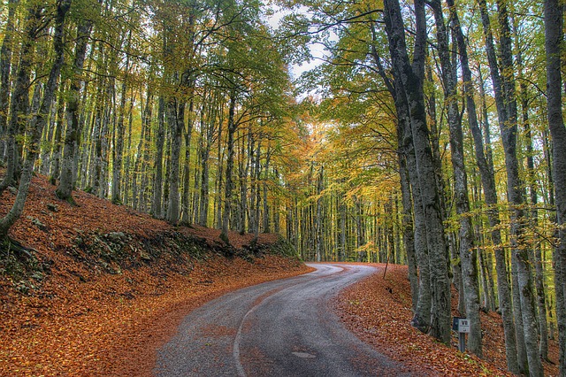 fall driving hazards