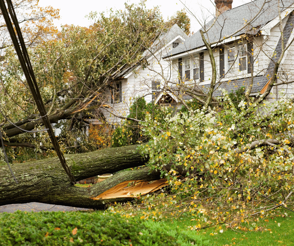 wind damage insurance
