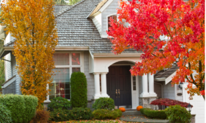 Fall home preparation