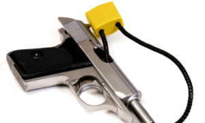 gun safety in home