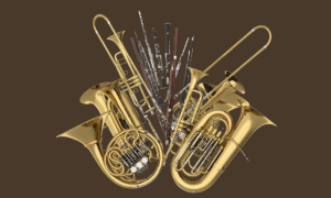 valuable items insurance