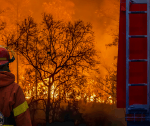 wildfire safety New York state 