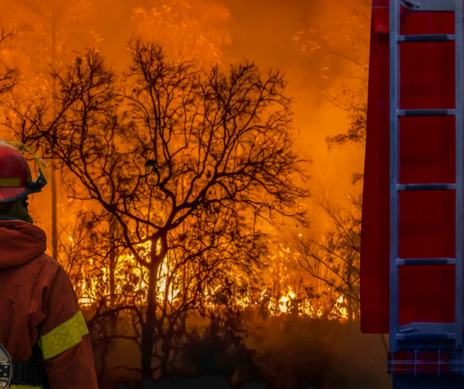 wildfire safety New York state