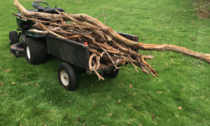 spring cleaning safety